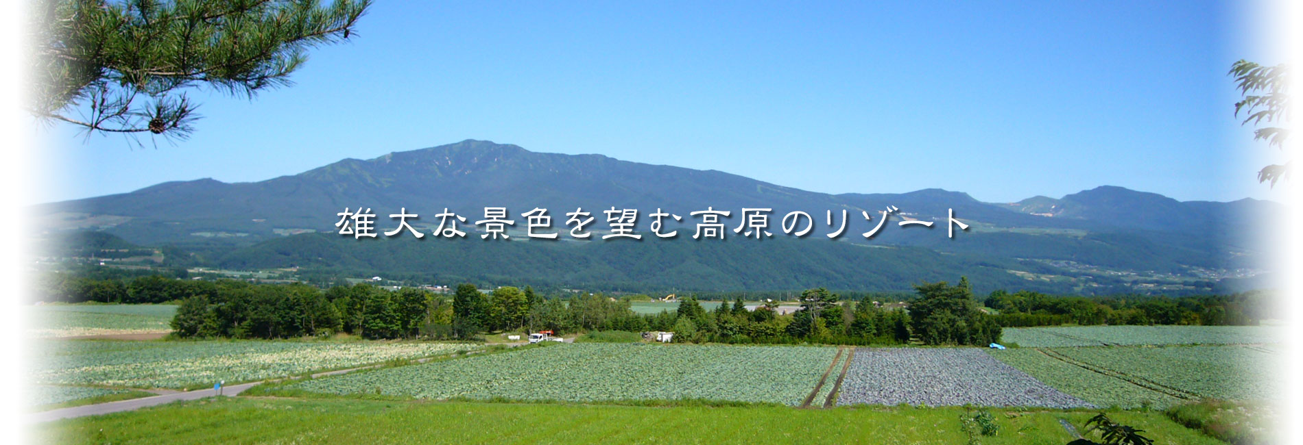 プチホテル　エトワール・アベニュー